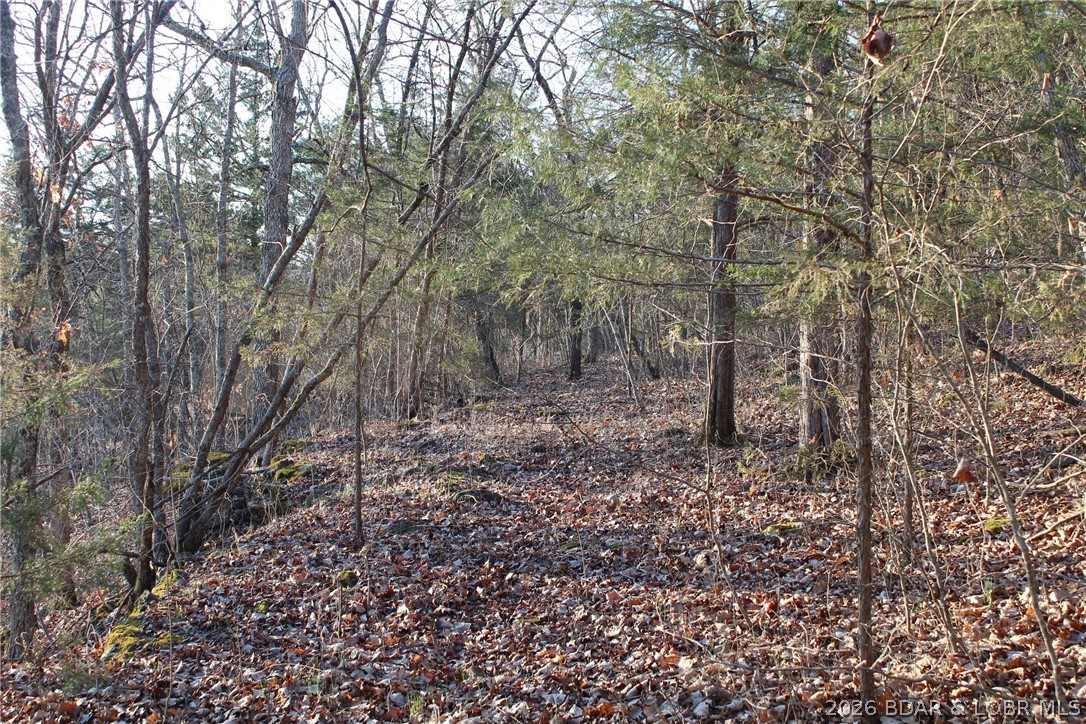 Indian Creek Hills - Land