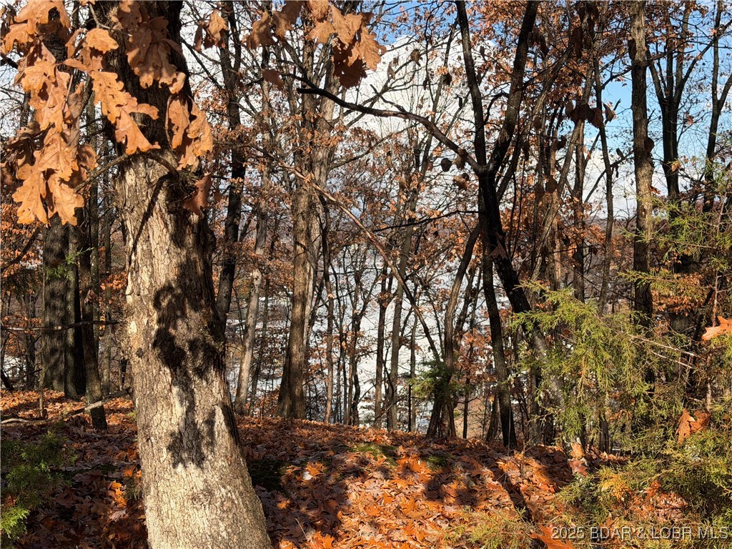Ridgecrest No. 1 - Land