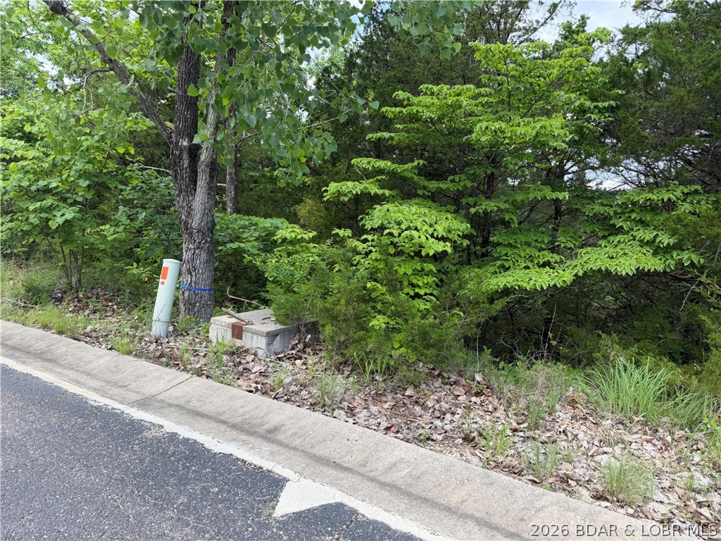 Old Kinderhook - Land