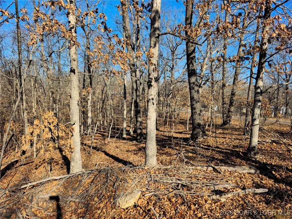 Ivy Bend - Land