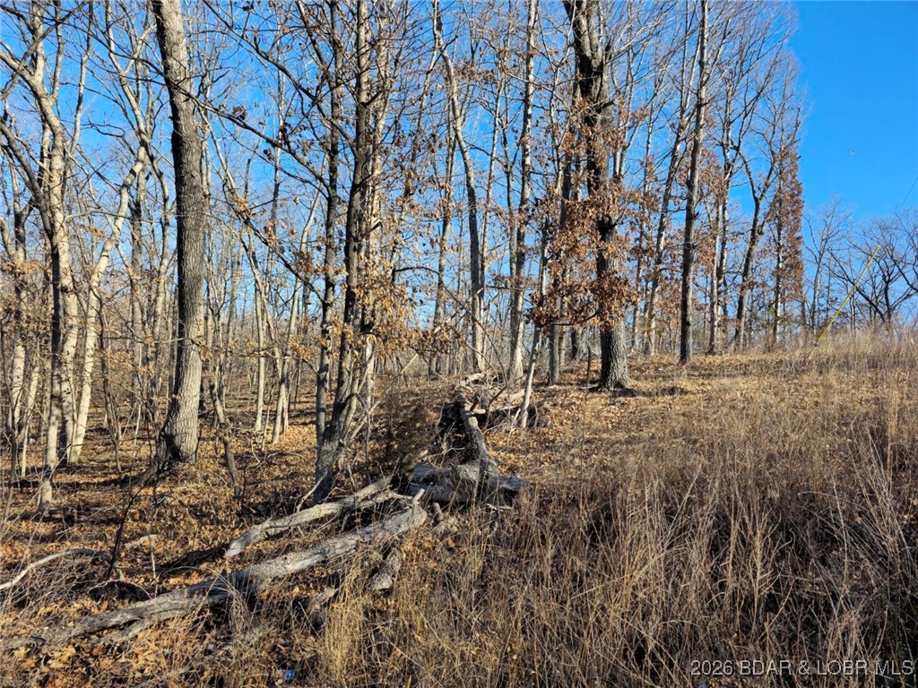 Ivy Bend - Land
