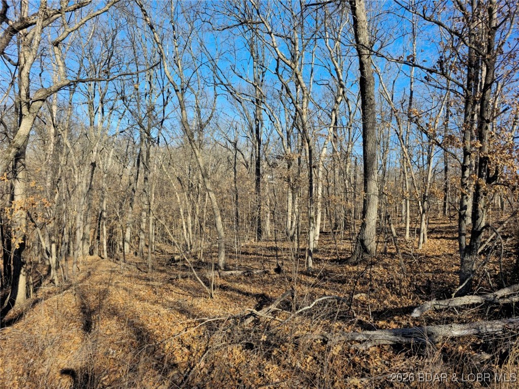 Ivy Bend - Land