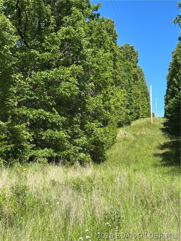 None - Land
