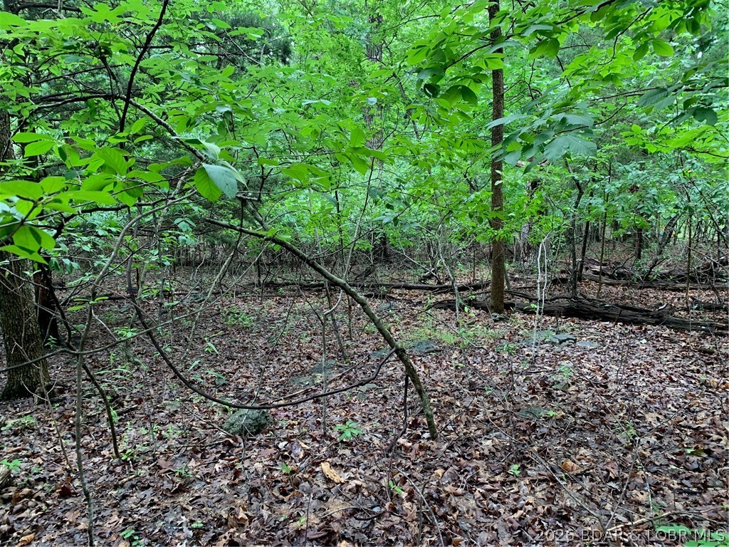 Kays Point #2 - Land