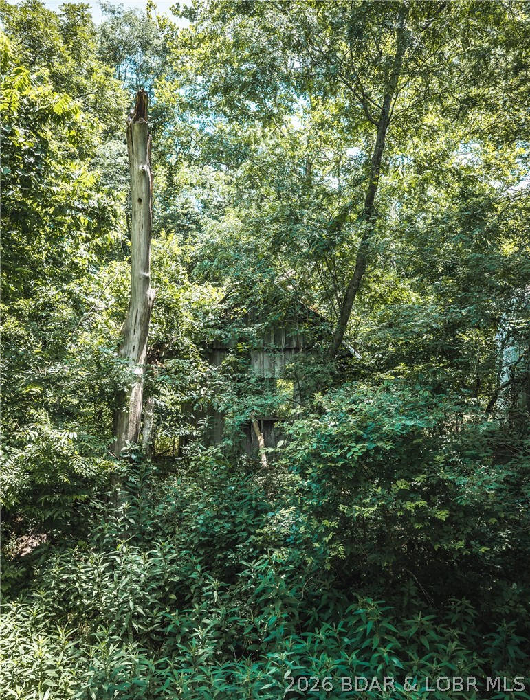 None - Residential