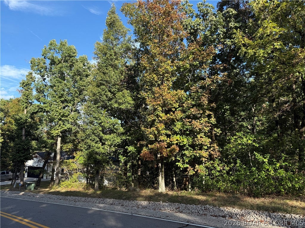 Build your dream home on this double lot located close to one of Four Season's outdoor pools. Enjoy access to Four Seasons amenities, including 3 outdoor pools, indoor pool, playgrounds, tennis courts, boat ramps, a campground, a clubhouse, a dog park, and much more!