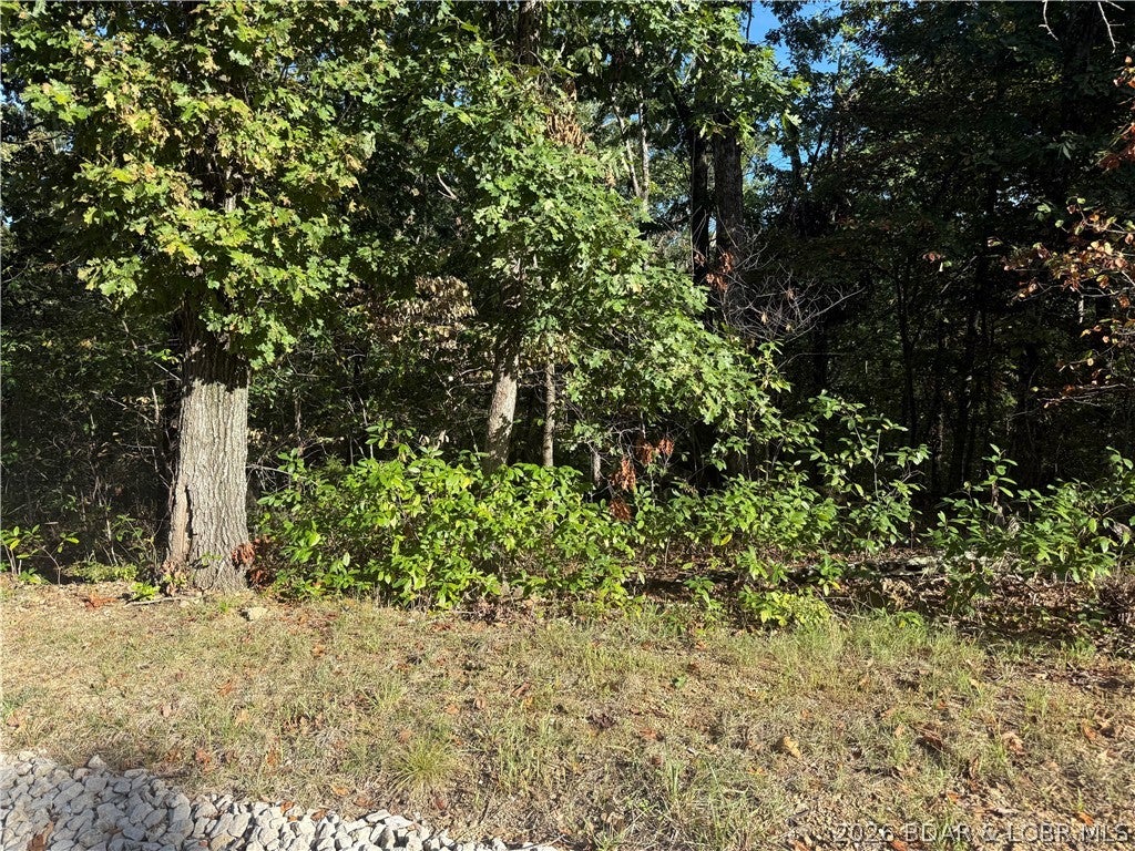 Cornett Cove No. 5 - Land