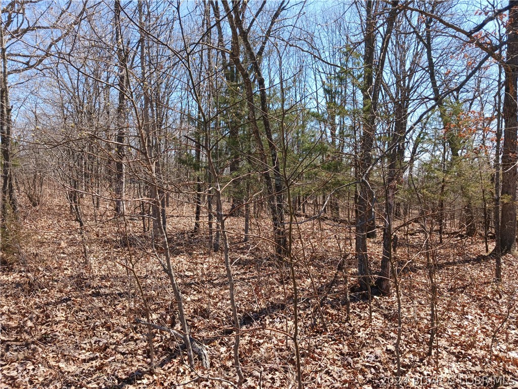 Are you searching for a small tract of non-restricted wooded land on which you may build a dream home, hunt, camp, or build a tiny home or two? Come take a look at this +/-5-acre tract a few miles south of Versailles! Property is undeveloped, but features level to gentle terrain - just right for all of the above. No Association or HOA fees! No covenants or zoning restrictions! There is electric and internet access at the road! This nicely shaped tract has also been recently surveyed and the corners marked with visible orange steel posts. This property is in a quiet and out-of-the-way spot, and has a recorded easement to it. Although it is located in a remote area, this tranquil wooded tract is still close enough for comfort to medical facilities, schools, stores, churches and recreational areas near and at the 54,000-acre Lake of the Ozarks where fishing and water-sports abound. It also has deeded access to the lake. Come take a look!