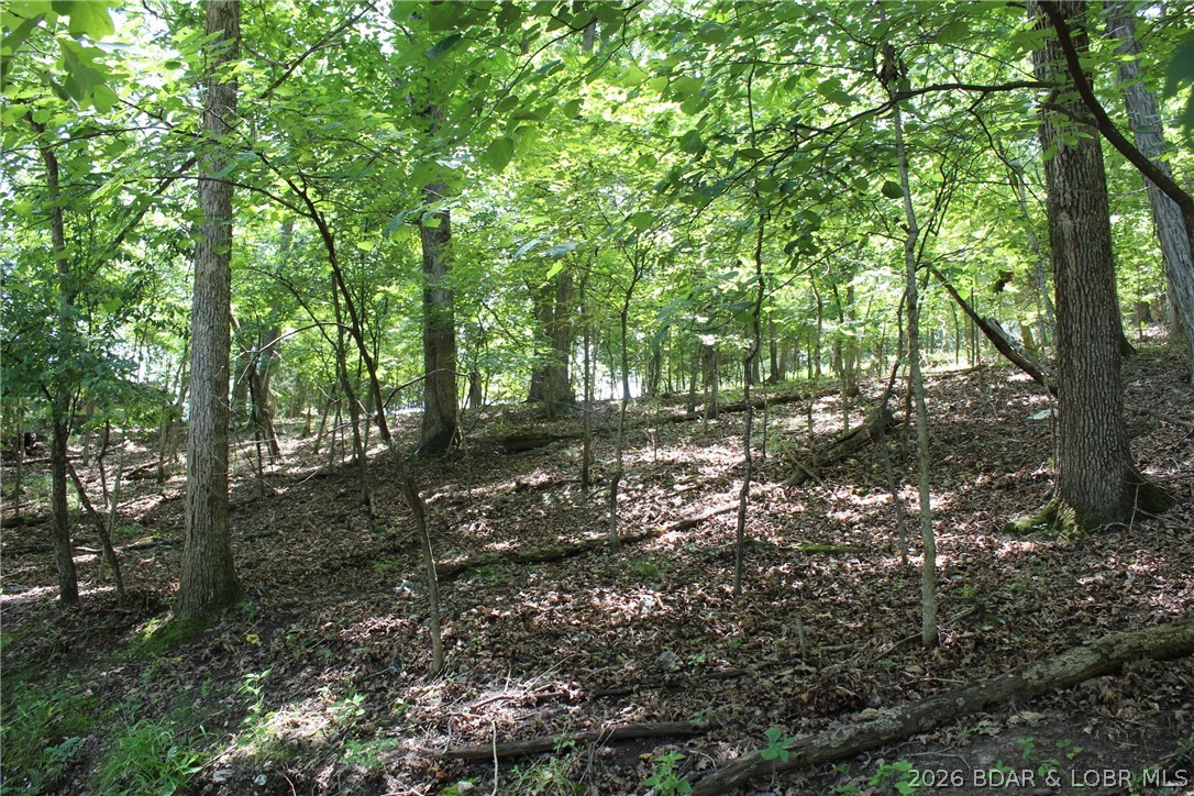 Build your Lake of the Ozarks getaway on this .69-acre lot tucked away in a quiet subdivision. Whether you're planning a weekend retreat or a full-time home, this property offers a peaceful setting with access to the subdivision's private boat ramp and boat parking once you build. Just a short drive from local restaurants, shopping, and lake attractions, this is a great opportunity to create your own place at the lake.