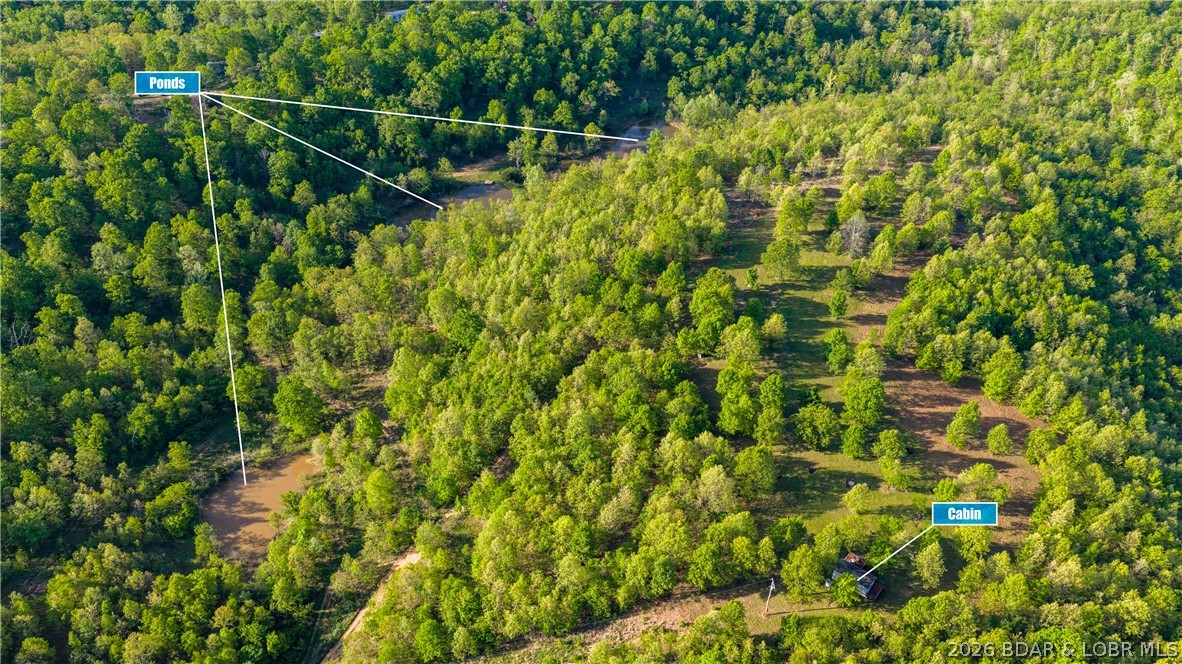4O acres m/L with 2 Cabins, 3 ponds and multiple build sites. Perfect for outdoor enthusiast who want privacy & enjoy hiking, driving ATV paths, hunting & fishing. 2 of the 3 ponds are stocked & 1 has a fishing platform. Lovely clearing near top of property with 2 cabins. Cabin 1 is an efficiency with bathroom, Kitchen area, deck & window AC. Cabin 2 is partially finished inside. Has covered porch & a nice watch tower/ deer stand outside of Cabin 2.  There is also a large, cleared Build Site area with lagoon. Another area has a electric pole in place for camping or additional cabins. Property also has a wet weather creek. If you love privacy and the great outdoors, this is your future Happy Place!