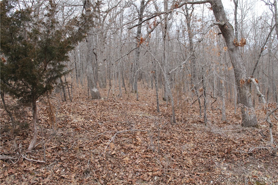 Forbes Lake of the Ozarks - Land