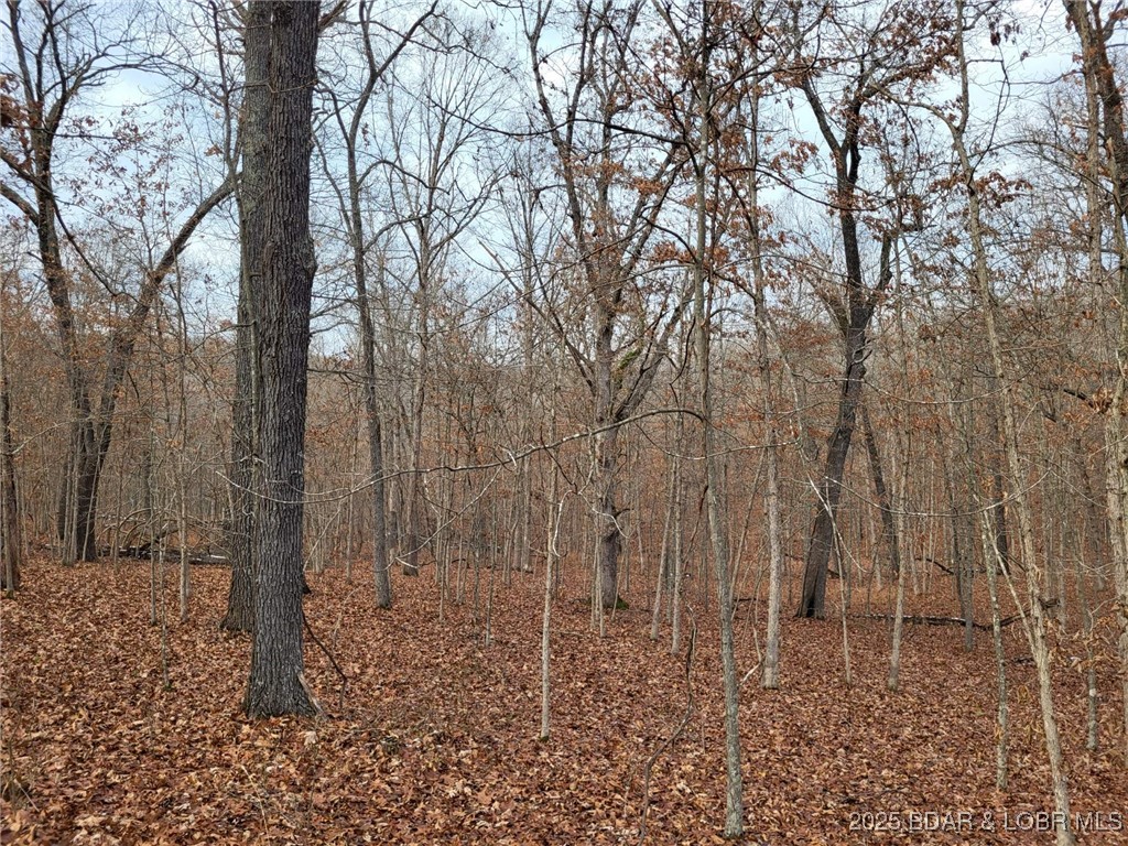 Forbes Lake of the Ozarks - Land