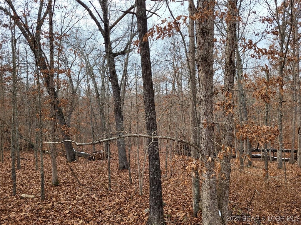 Secluded 7-acre parcel in the Forbes Lake of the Ozarks Park subdivision. Heavily wooded with multiple potential building sites, abundant wildlife and a charming wet-weather creek that adds seasonal character. Private but accessible, this lot offers a peaceful rural setting with community amenities nearby. Perfect for a weekend retreat or full-time country living.