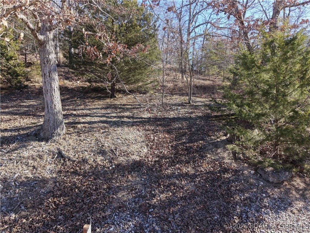 Bear Paw - Land