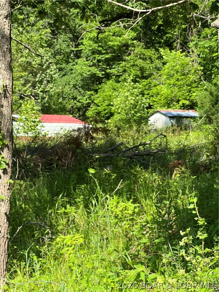 Build-Ready 5.75 Acres with Utilities! Bring your house plans and start building today on this pristine 5.75 acre tract. All the heavy lifting is already done—featuring an established well, septic system, and electricity already on-site. Escape to the country and enjoy ultimate privacy without the wait of rural utility development.