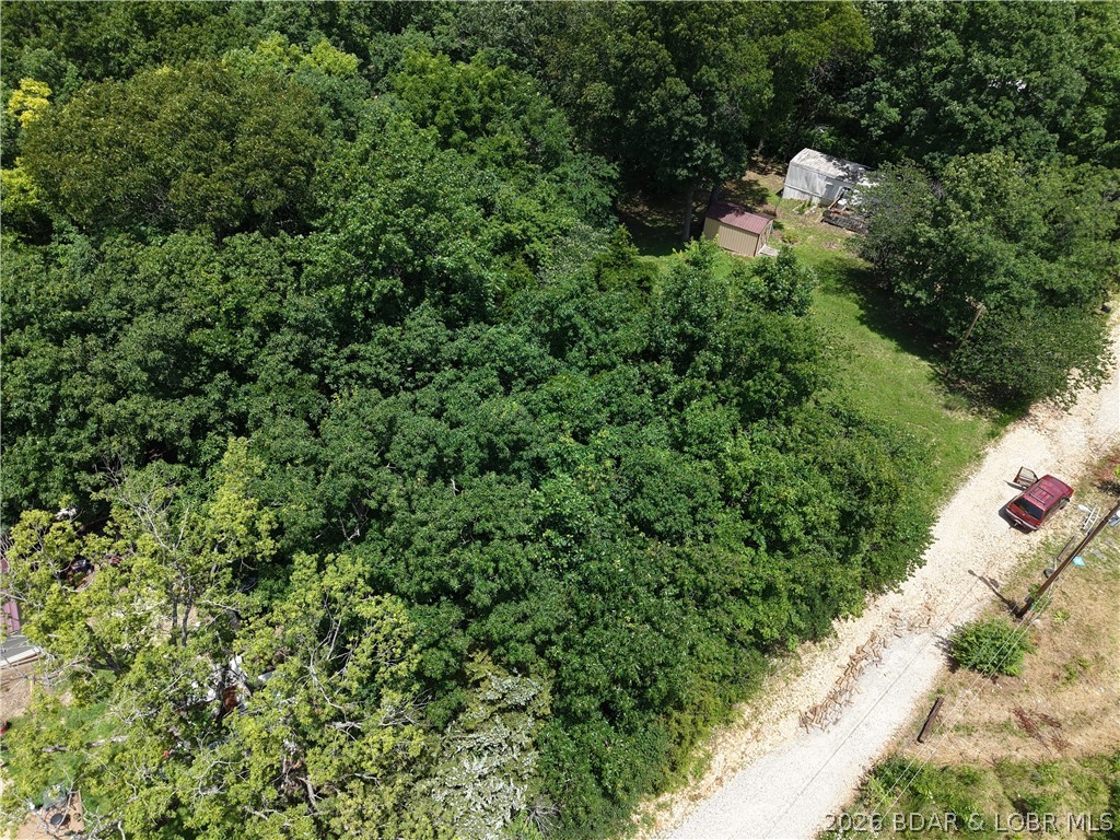 Ivy Bend - Land