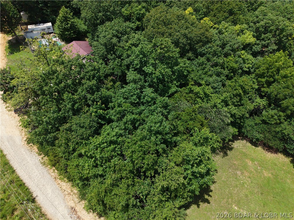 Discover the perfect spot for your future lake getaway on this fairly level, wooded lot in Ivy Bend. Tucked away in a quiet area with friendly neighbors, this property offers the peace and privacy you've been looking for while remaining just minutes from Lake of the Ozarks. Conveniently located near The Wet Spot Bar & Grill and several local businesses, you'll enjoy easy access to dining, entertainment, and everyday essentials. Whether you're planning to build now or invest for the future, this affordable lot is a great opportunity to enjoy everything the Ivy Bend area has to offer.