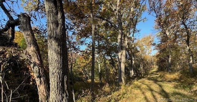 Out of Area - Land