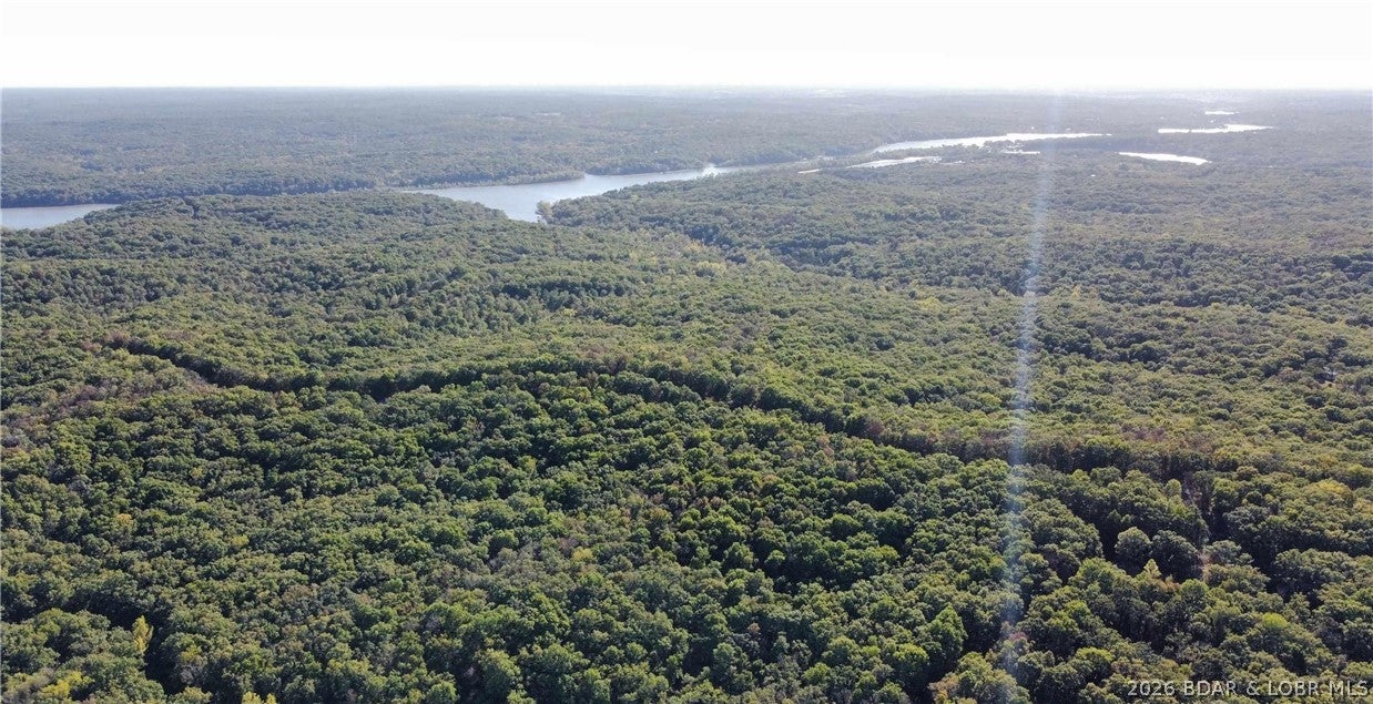 Out of Area - Land