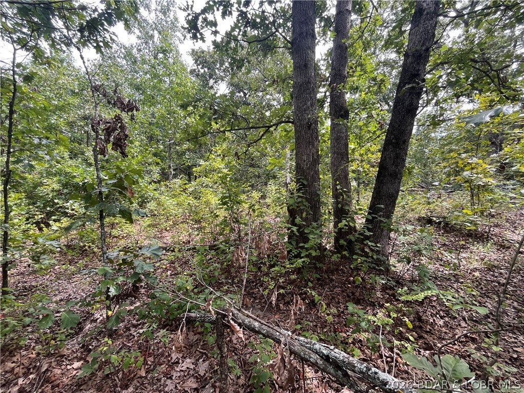 Whispering Oaks - Land
