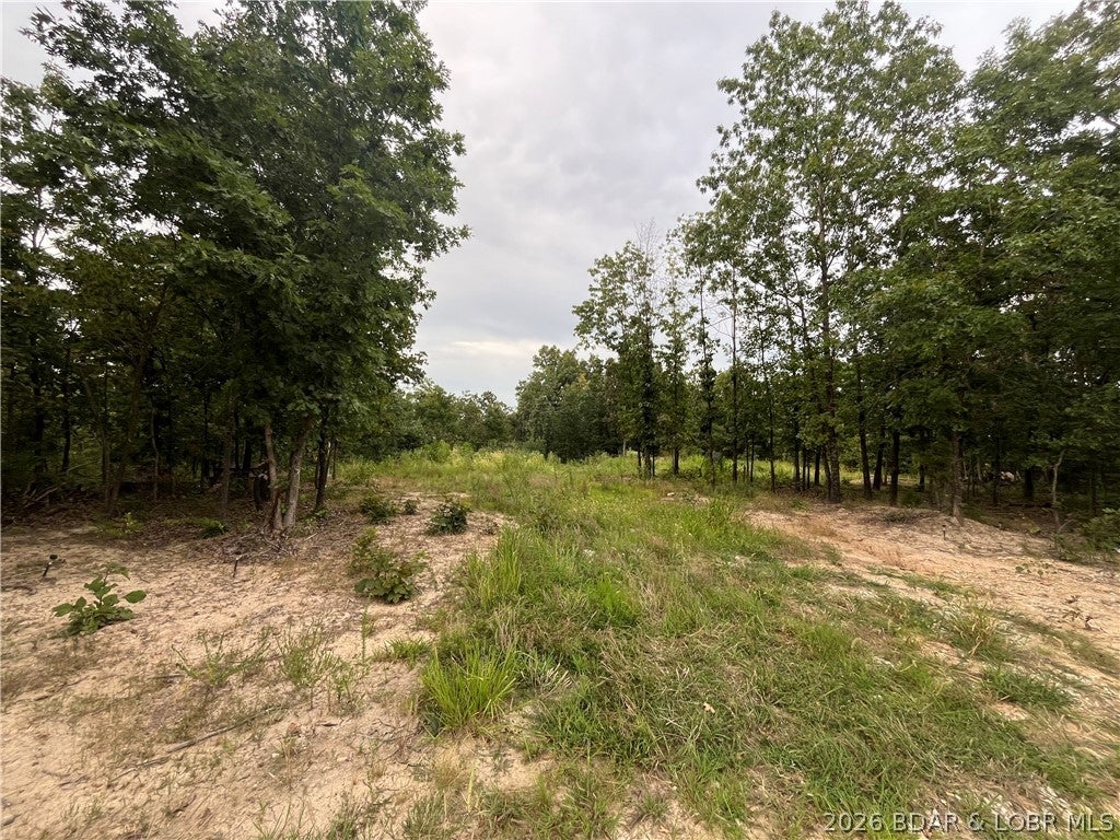 Whispering Oaks - Land