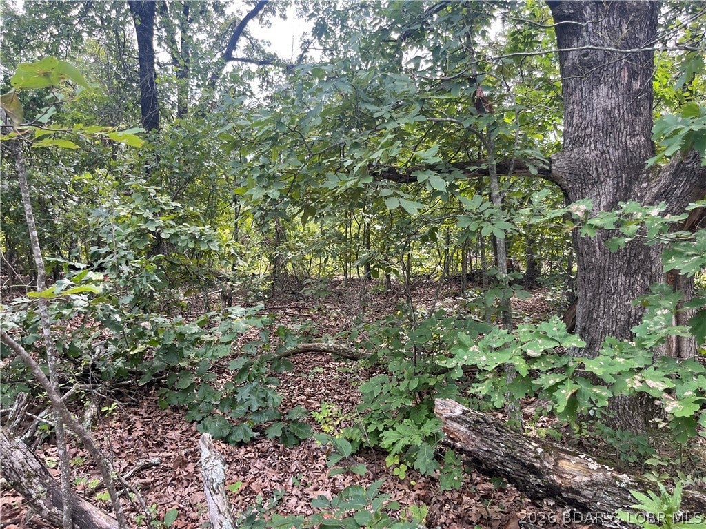 Whispering Oaks - Land