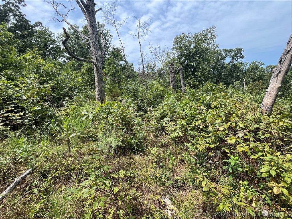 Whispering Oaks - Land