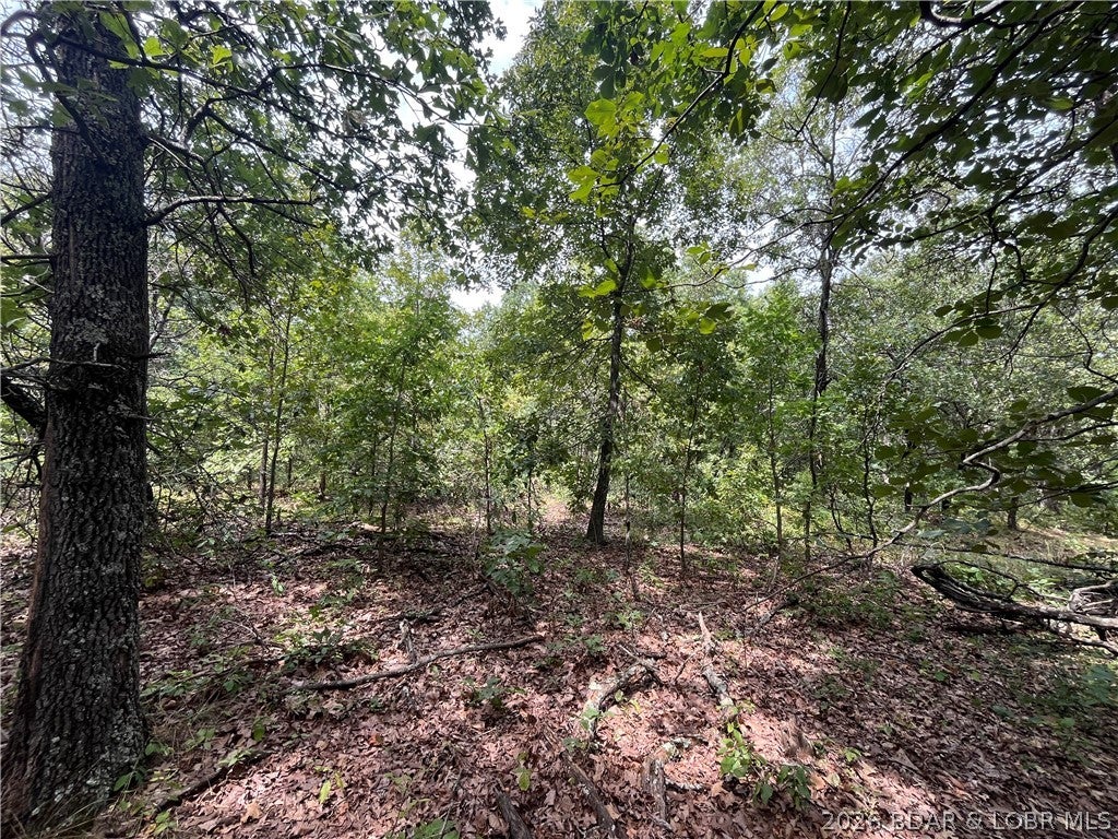 Whispering Oaks - Land