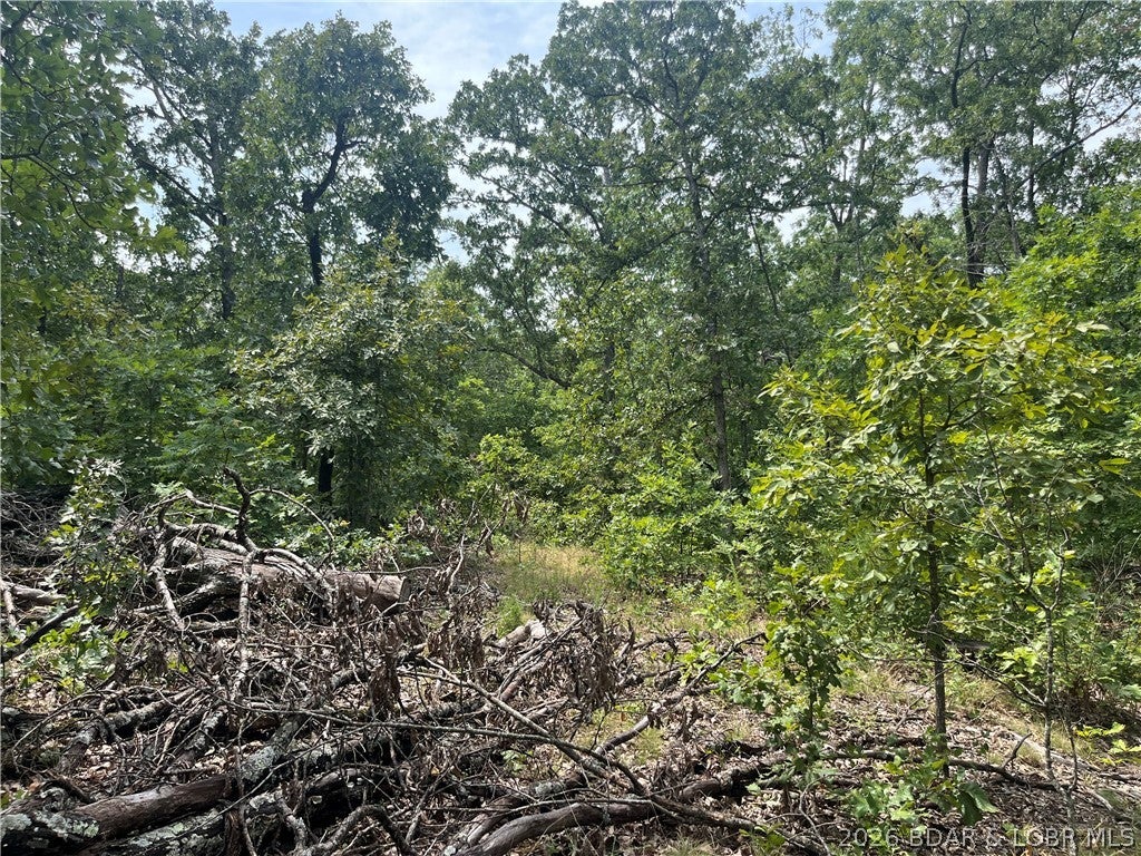 Whispering Oaks - Land