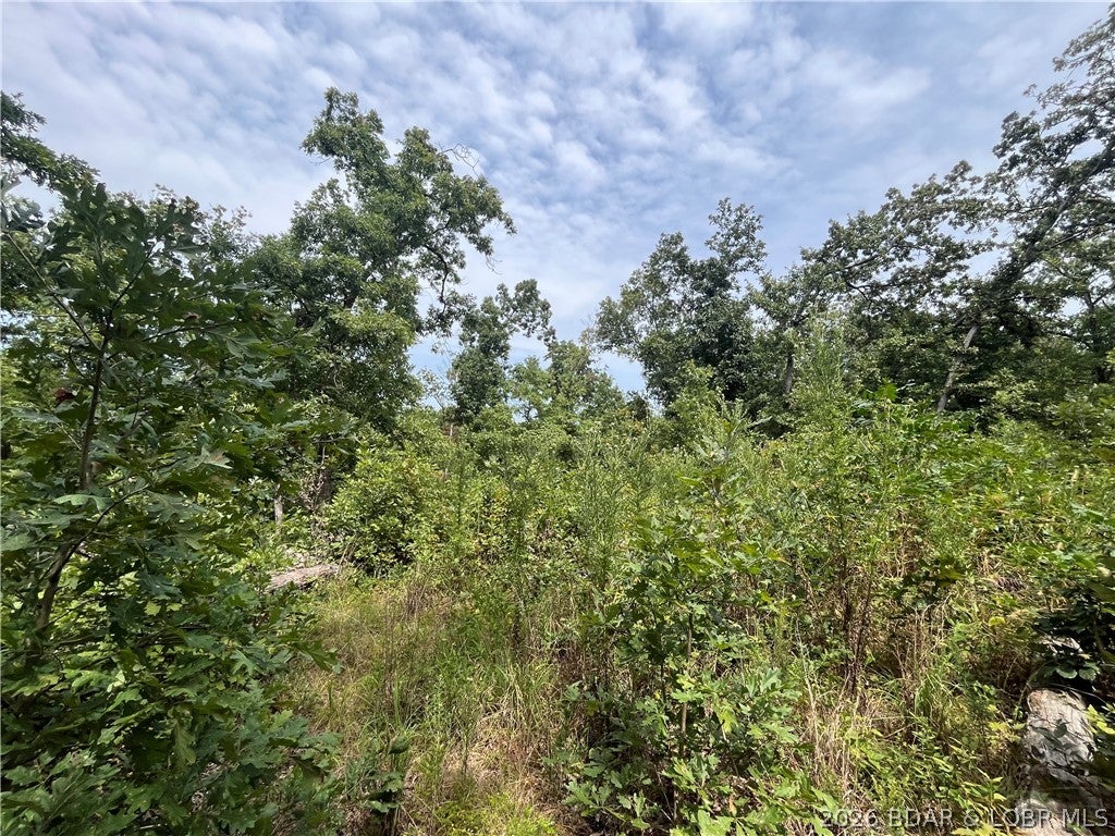 Whispering Oaks - Land