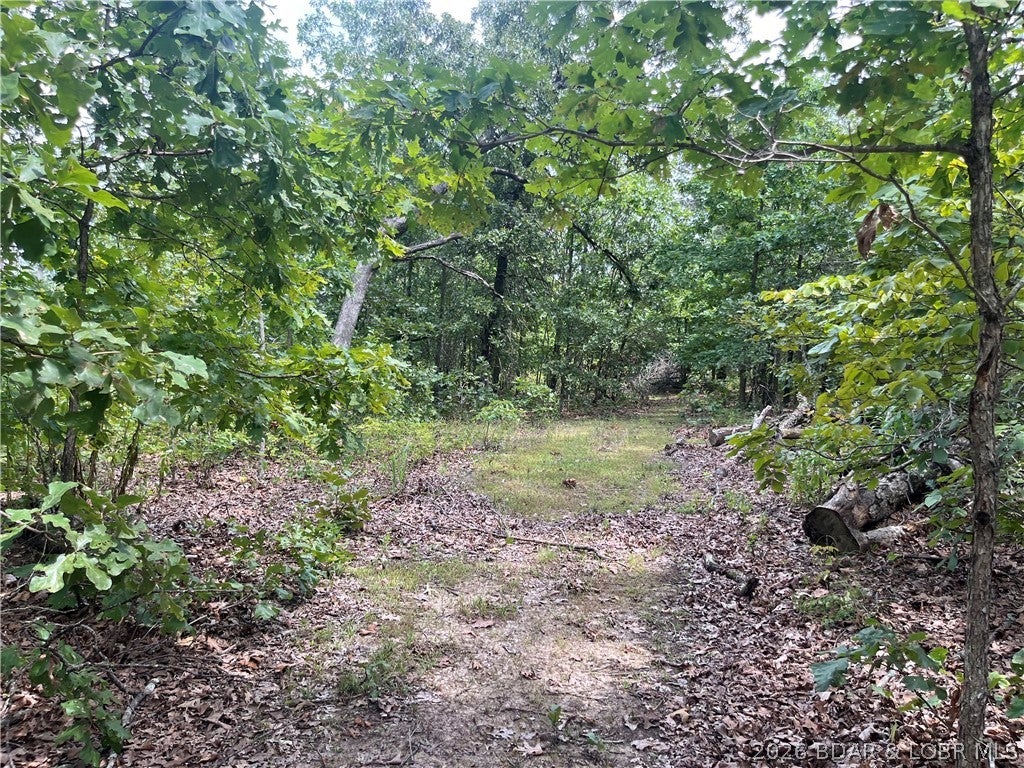 Whispering Oaks - Land