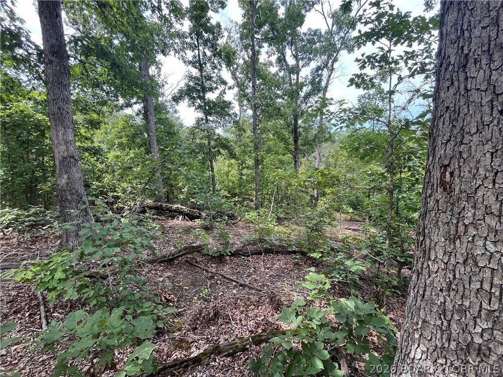 Whispering Oaks - Land