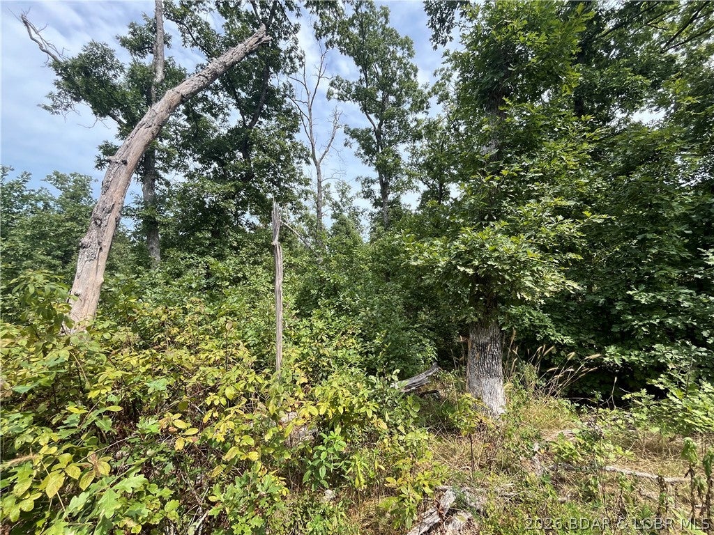 Whispering Oaks - Land