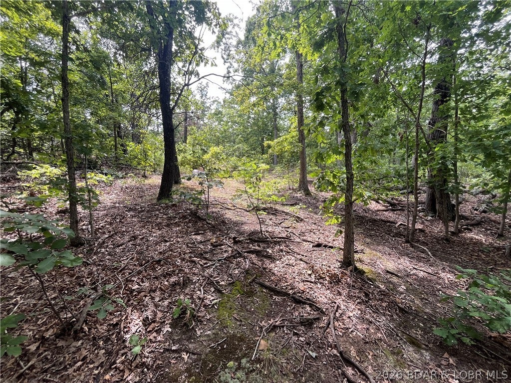 Whispering Oaks - Land