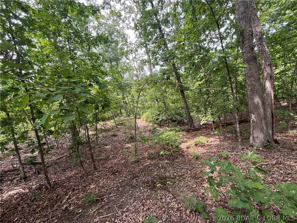 Whispering Oaks - Land