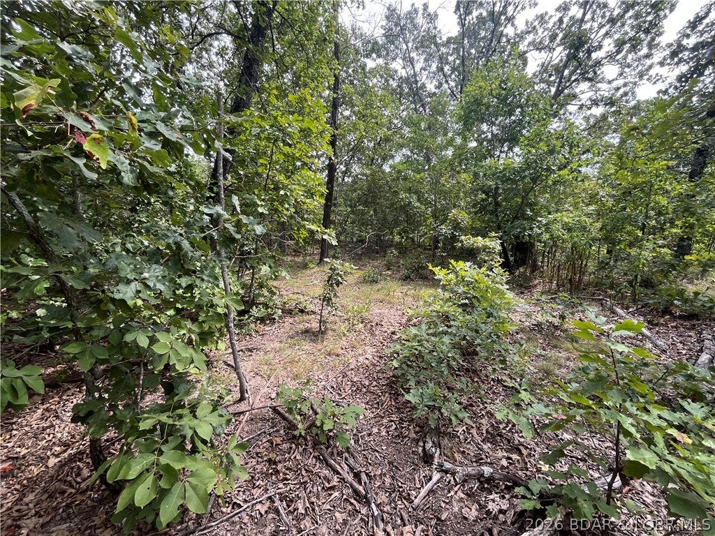 Whispering Oaks - Land
