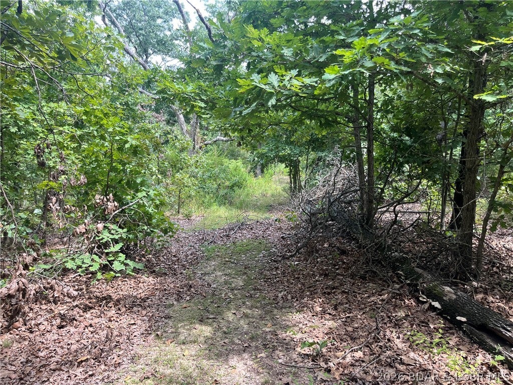Whispering Oaks - Land
