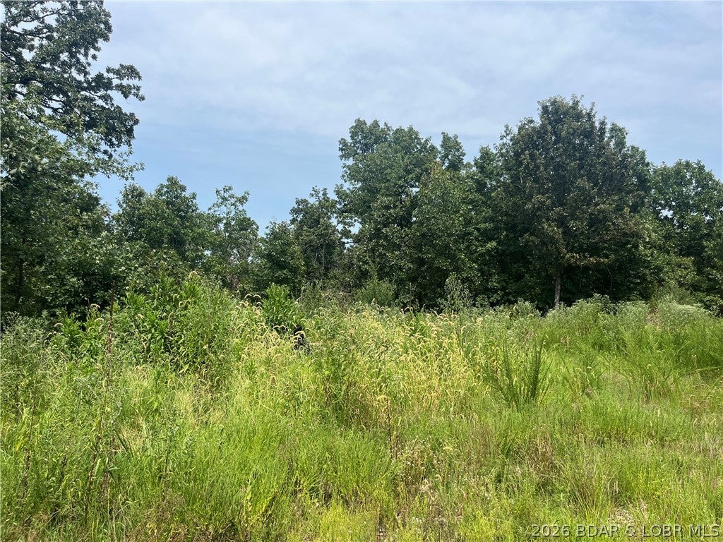 Whispering Oaks - Land
