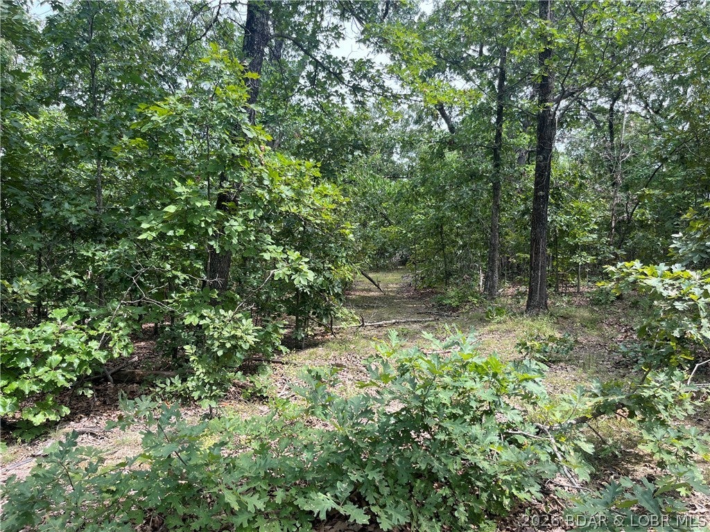 Whispering Oaks - Land