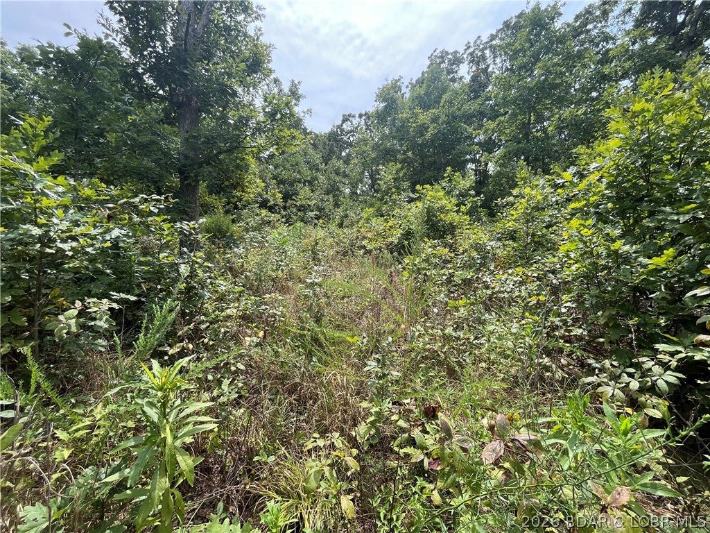 Whispering Oaks - Land