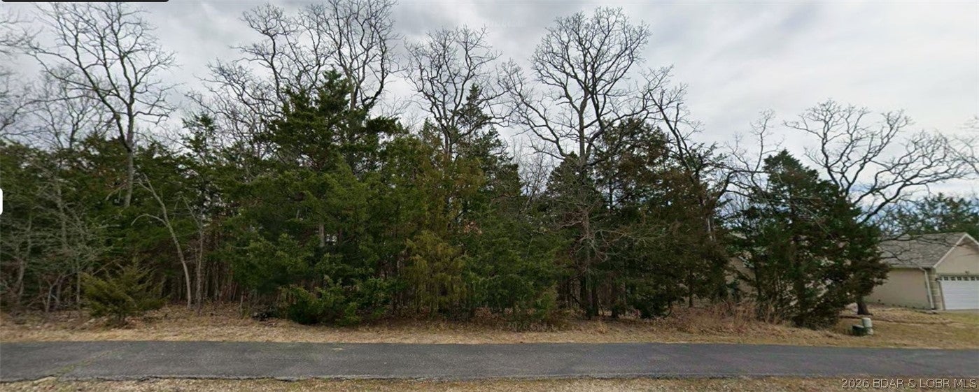 Build your dream home at the Lake of the Ozarks! This lot is located in the desirable Four Seasons community and offers access to the many amenities the community has to offer. Enjoy pools, playgrounds, tennis courts, boat ramps, lake access and more. A great opportunity to own a piece of the Lake and build when you're ready!