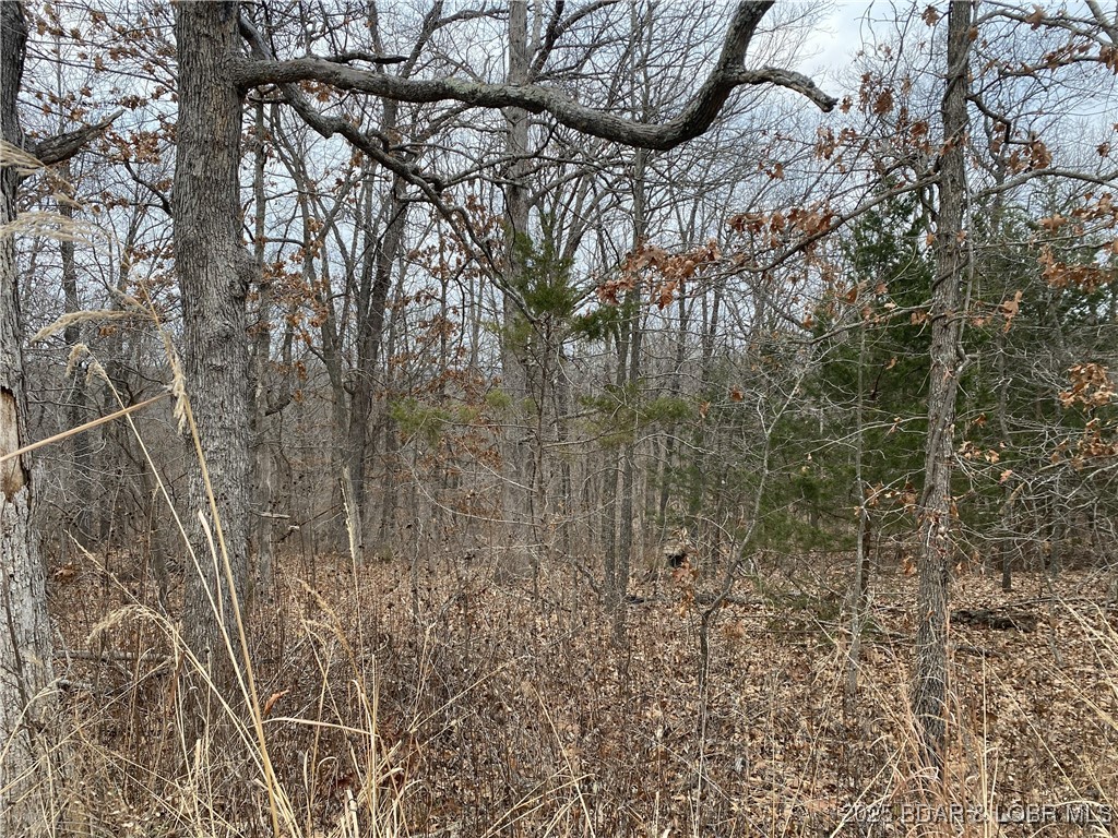None - Land