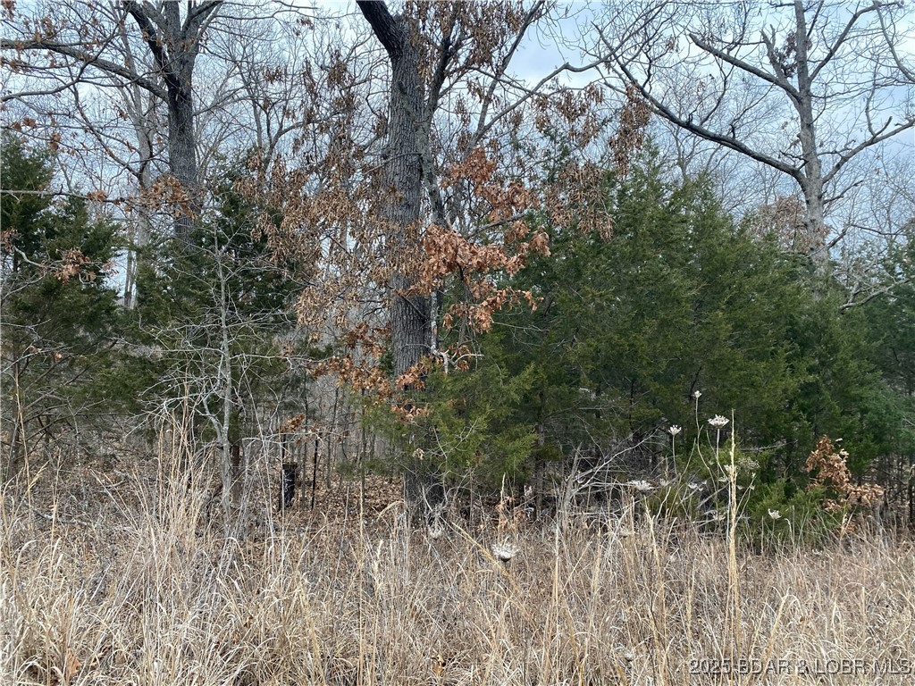 None - Land