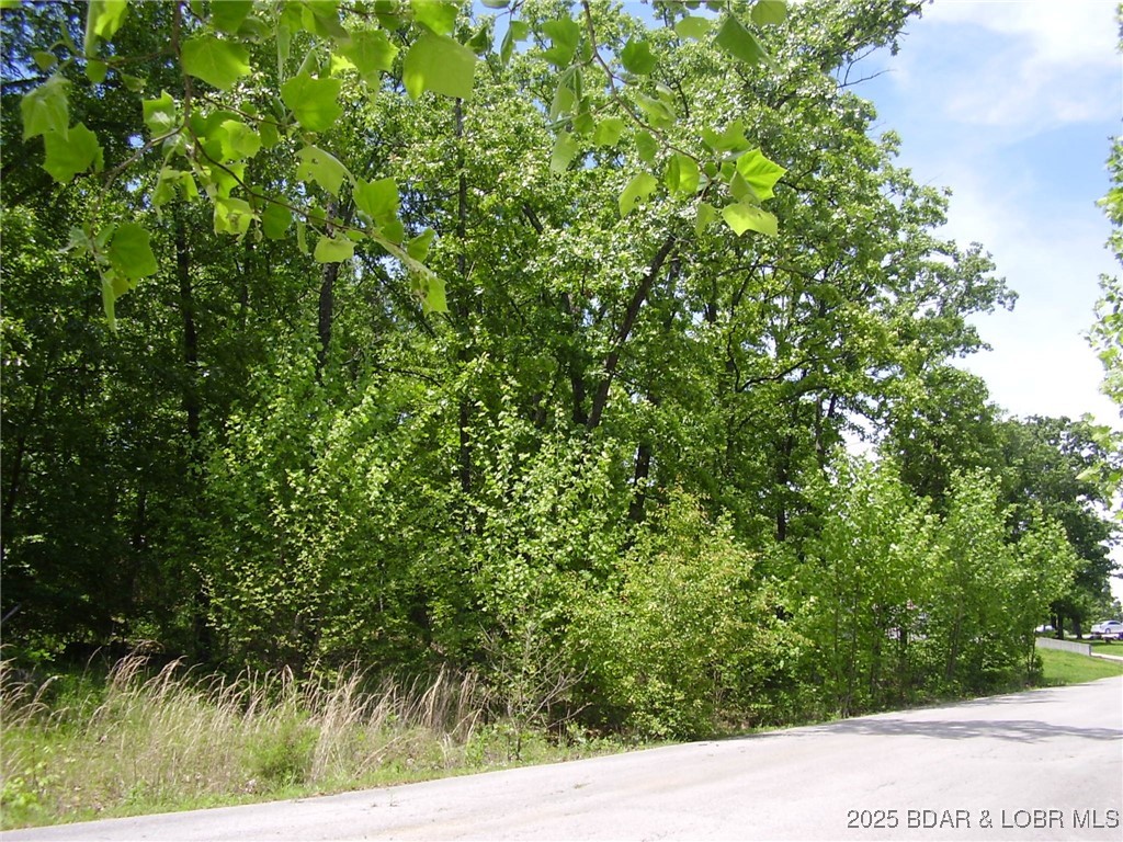 Great Building Lot in nice Subdivision located close to Camdenton Schools and behind the Camdenton Public Library. Only 4 Lots remaining. There is Community Water, Central Septic and Electric hookups. Great location close to Town, Shopping, Restaurants & Medical.