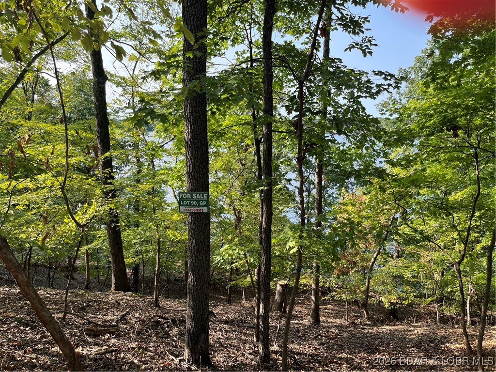 Grand Point - Land