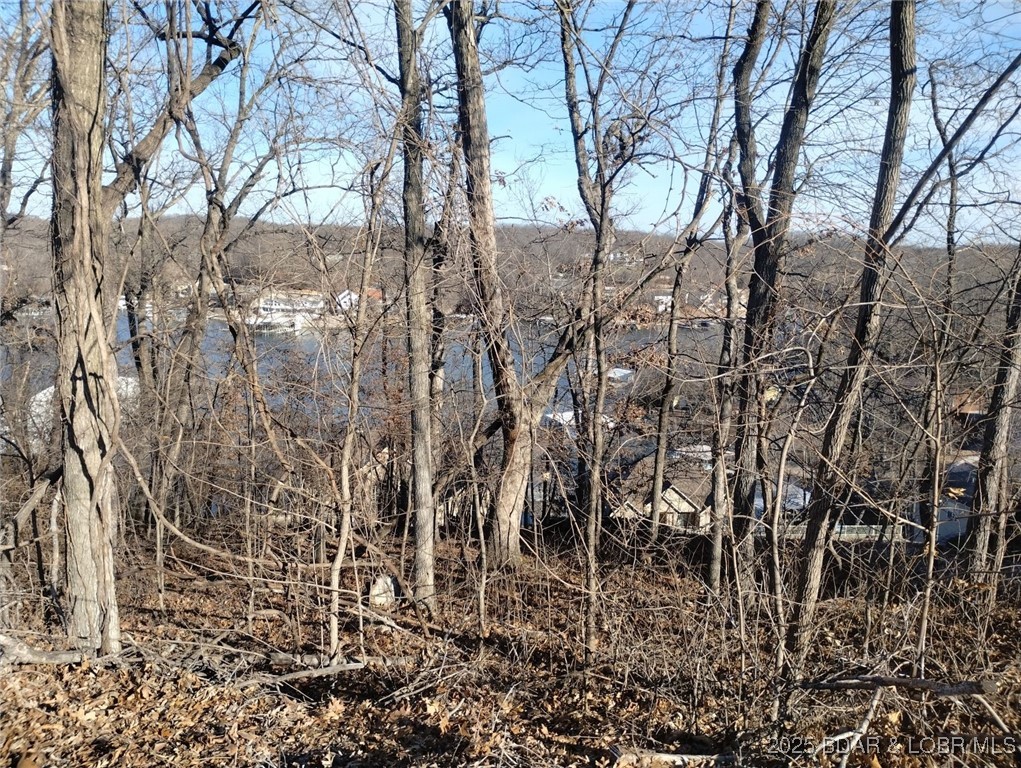 Beacon Pointe - Land