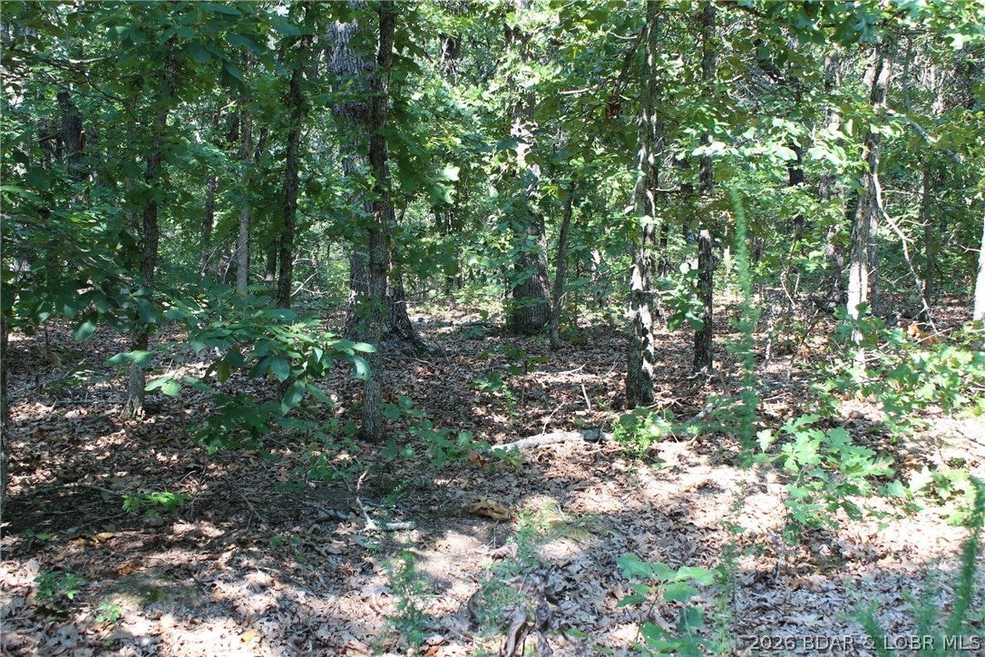 Lake of the Ozarks Hills - Land