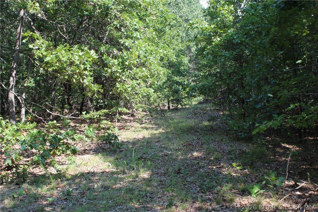 Lake of the Ozarks Hills - Land