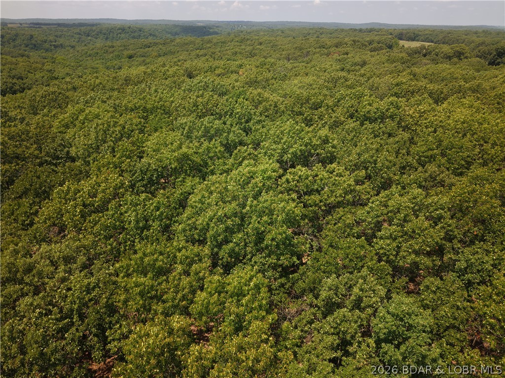If you've been searching for a private place to build, hunt, camp, or simply escape the noise, this 20± acre wooded tract deserves a look. Tucked away at the end of a private road, this property offers the peace and privacy that's becoming increasingly difficult to find.
The land is heavily wooded, providing excellent cover for wildlife and countless possibilities for creating your own secluded homesite, cabin retreat, or recreational getaway. Along one entire side of the property, it borders a large open field, creating an attractive transition from timber to open ground while offering beautiful views and excellent wildlife habitat.
Electric service is already available halfway down the private road, making future development more convenient.
No known restrictions, giving buyers the flexibility to bring their own vision to life. Whether you're dreaming of building a home, establishing a hunting camp, parking an RV, or simply investing in land, this property offers the freedom to explore options.
If you've been waiting for an affordable piece of Missouri ground with privacy, mature timber, and room to make it your own, this could be exactly what you've been looking for.