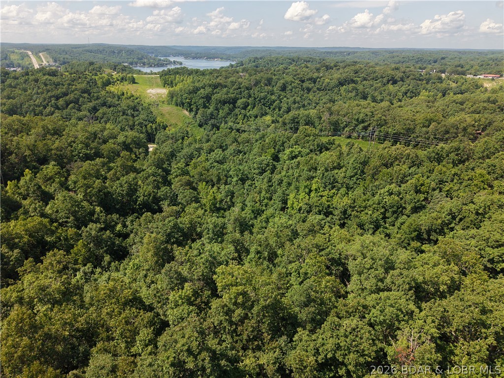 Discover the opportunity to own 2.5 wooded acres in the Twin Rivers Point area near Greenview. Located off Red Dirt Road, this tract offers the perfect balance of manageable acreage and endless potential. Whether you're looking for a place to build, a weekend escape, a recreational property, or a smart investment for the future, this parcel provides the flexibility to fit a variety of plans. Owners enjoy shared community lake access, making it easy to experience the Lake of the Ozarks lifestyle without paying waterfront prices. Conveniently located near marinas, restaurants, golf courses, and countless outdoor recreation opportunities, this property offers the ideal combination of natural surroundings and easy access to everything the area has to offer. Seller prefers seller financing terms, creating an excellent opportunity for buyers seeking flexible financing options. If you've been waiting for an affordable way to own acreage near Lake of the Ozarks, this property is worth a closer look.